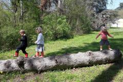jeux libres dans le parc